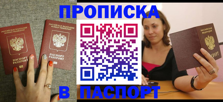 прописка паспорт в Великом Новгороде